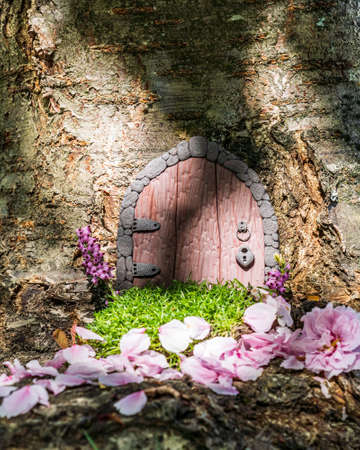 Little fairy tale door made from clay in a tree trunk with pink petals.の写真素材