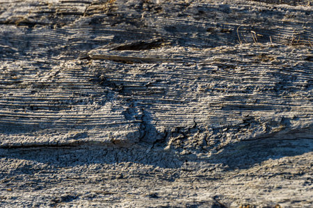 old wooden texture Weathered rough cracked gray surface of dry wood.の写真素材