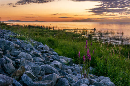 Summer sunset river landscape Fraser river Canada view from Terra Nova Viewpoint.の写真素材