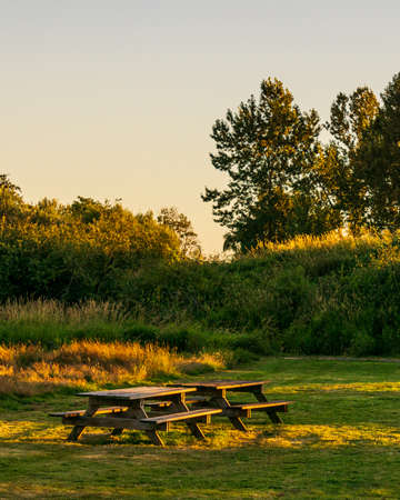 Picnic table on a green meadow in the park at sunset summer time.の写真素材