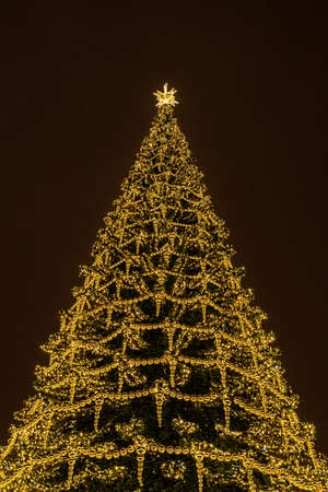 huge outside Christmas and new year tree with golden light decoration at night party in winter.の写真素材