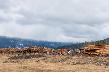 Revelstoke, CANADA- March 19, 2021: sawmill forest products company that produces multi species woodのeditorial素材