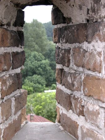 Green live trees. View from narrow window of castle wall. Loophole, embrasureの写真素材
