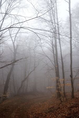 Little fog in brown Crimean mountains. Spring.の写真素材