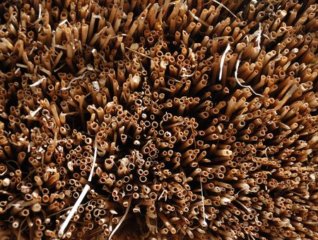 Many cuts of straw haulms on dark background, thatched roof close-upの写真素材