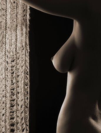 Nude woman's body. Playing with hidden light through openworked scarf. Sepiaの写真素材