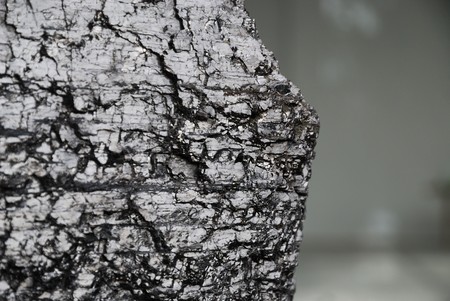Shiny lump of coal on gray blurred background. There is copy space.