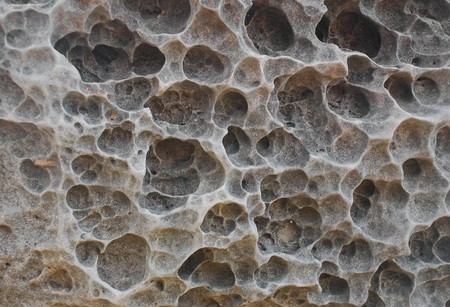 Spongy surface of coral fossilized long ago.