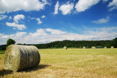Agricultural landscape with straw packages on the gathered field. In the foreground there is a single bale.の写真素材