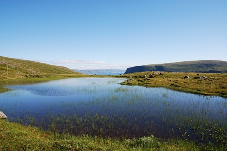 The blue lake becomes overgrown with water plants. It is in the middle of the mossy hills of Soroya. This is a large island in western Finnmark of Norway. の写真素材