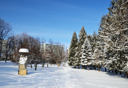 Public garden of Truskavets is covered with snow and sunlit. There is nobody except the sculpture in the middle of evergreen trees.の写真素材