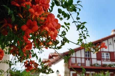 La Bastida-Clairence is one of the most beautiful villages of France  This is an ancient Basque town の写真素材