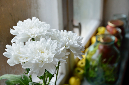 White chrysanthemums, quinces and sealed food jars are on the windowsill の写真素材