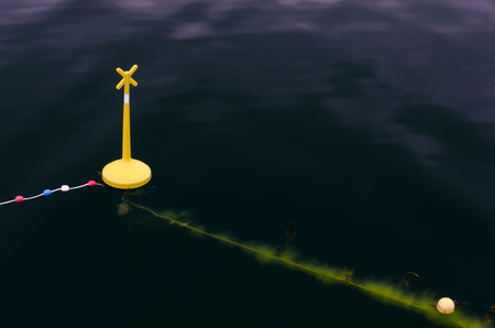 Yellow anchored buoy is floating in the water.
