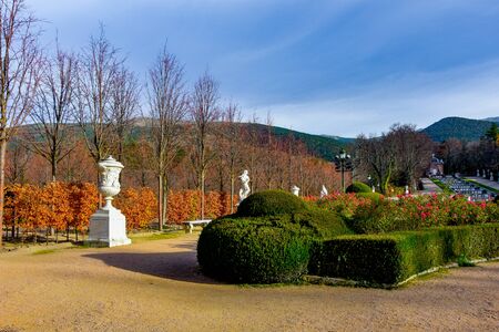 The beautiful gardens trees shrubbery of the Royal Site of La Granja de San Ildefonsoの写真素材