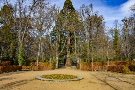The beautiful gardens trees shrubbery of the Royal Site of La Granja de San Ildefonsoの写真素材