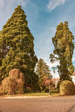 The beautiful gardens trees shrubbery of the Royal Site of La Granja de San Ildefonsoの写真素材