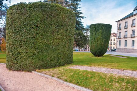 The beautiful gardens trees shrubbery of the Royal Site of La Granja de San Ildefonsoの写真素材