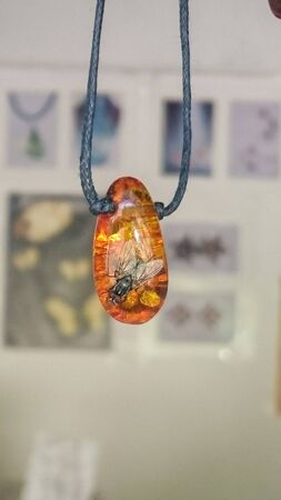 living fly sits on an amber pendantの写真素材