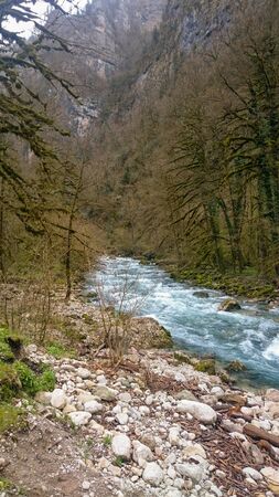 stones and trees overgrown with moss on the banks of a mountain river and a lake on the background of rocksの写真素材