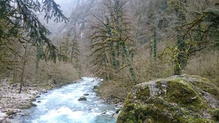 stones and trees overgrown with moss on the banks of a mountain river and a lake on the background of rocksの写真素材