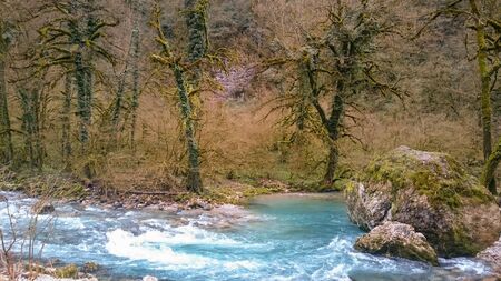stones and trees overgrown with moss on the banks of a mountain river and a lake on the background...
