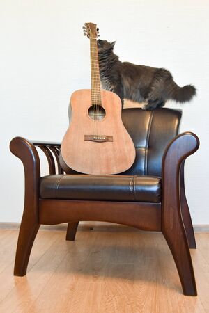 Acoustic six-string guitar and vintage leather armchair in the interiorの写真素材
