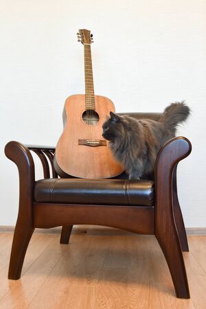 Acoustic six-string guitar and vintage leather armchair in the interiorの写真素材