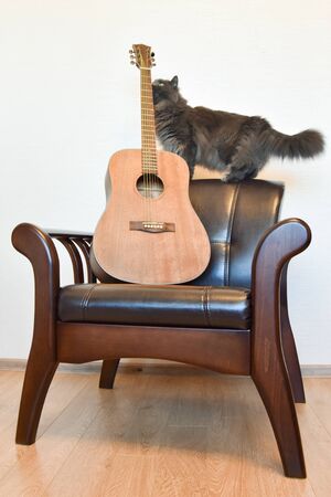 Acoustic six-string guitar and vintage leather armchair in the interiorの写真素材
