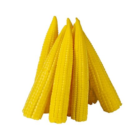 small corn isolated on white backgroundの写真素材