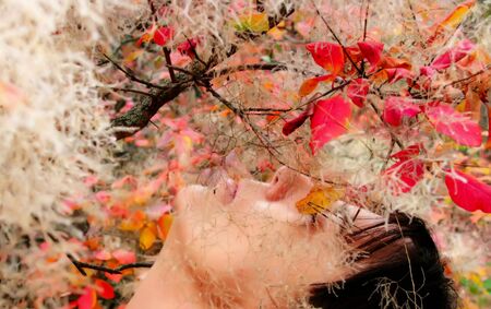 A woman poses in the autumn forest in the Crimea.の写真素材
