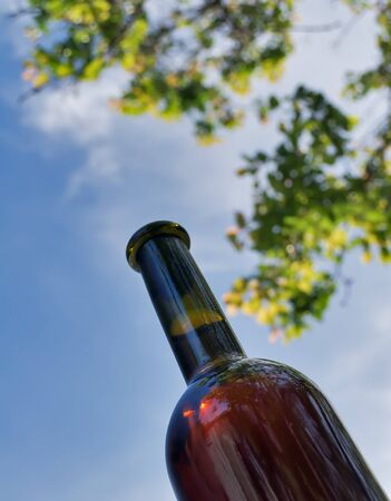 A bottle of wine on the background of sky and branchesの写真素材