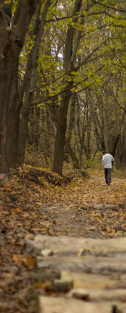 autumn is a beautiful time of the year, it's a beautiful season, the leaves fall from the trees,the street is very niceの写真素材