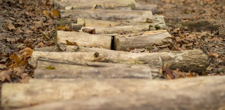 autumn is a beautiful time of the year, it's a beautiful season, the leaves fall from the trees,the street is very niceの写真素材