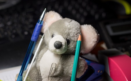 soft toys and stationery, grey toy with a pencil,very cuteの写真素材
