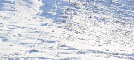 winter snows and beautifully conceals everything around, that's how this small hillの写真素材