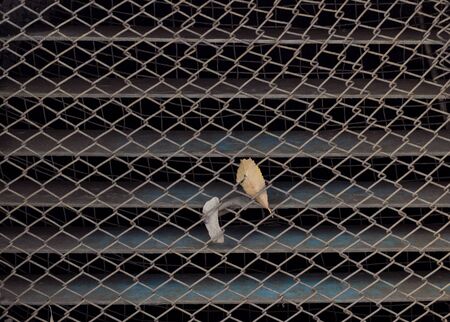 an interesting background is the ventilation grille and her netの写真素材