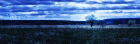 A mysterious view of the meadow beauty of a magical nature, a dark blue sky with expressive clouds, a lighted tree, dark and beautiful around, the grass grows, on the horizon line the forestの写真素材