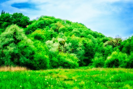 Beautiful natural background very bright trees grow on a mountain under a blue sky in front of a mountain magic meadow on which grow flowers and grassの写真素材