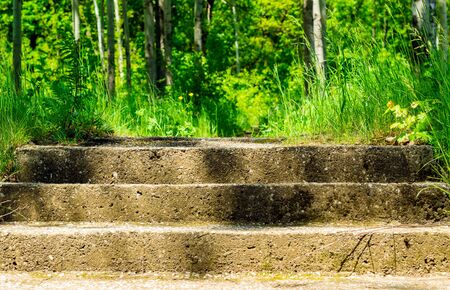 Background of stone steps leading to beautiful nature bright green grass and trees summer seasonの写真素材