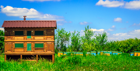 Apiary on nature beautiful place outside the city