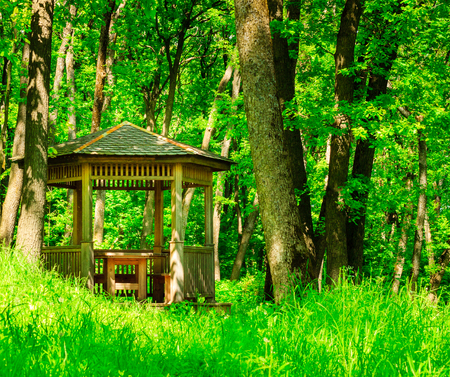 A lone wooden gazebo in the woods is a great place for solitude with wildlifeの写真素材