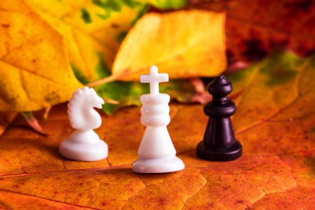 chess pieces on a warm autumn background bright season for popular board games