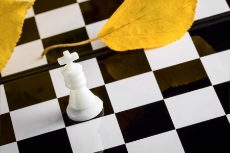 white king on a chessboard in autumn very beautifulの写真素材