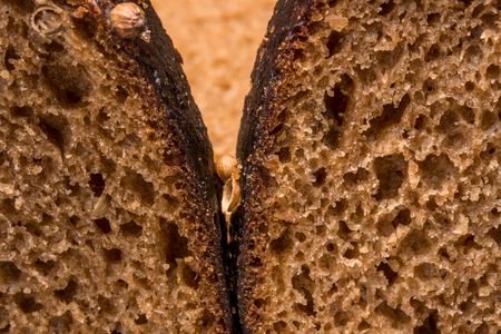 texture of two pieces of black bread with cumin concept of cooking and baking