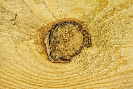 texture of an old wooden board with interesting patterns background for design concept of...
