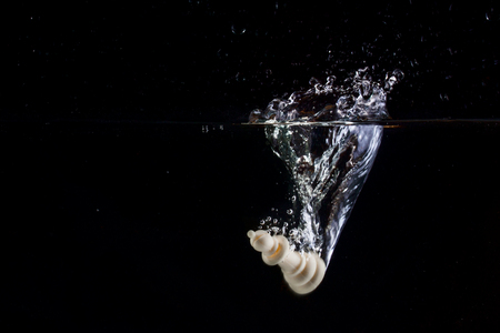 white chess elephant falling into the water on a dark background beautiful splashの写真素材