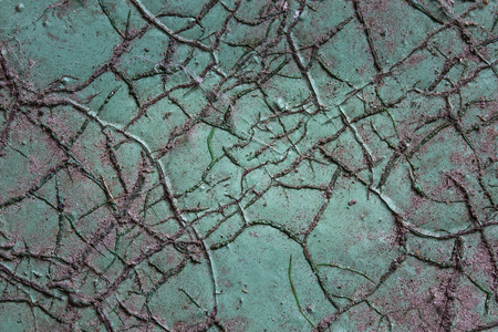 mysterious wooden texture covered with paint and exciting cracks grunge background for designの写真素材