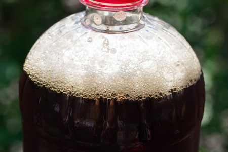 dark beer with foam and bubbles close-up on a blurred background of green foliage concept of alcoholic beveragesの写真素材