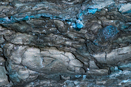 fantastic bright texture of a bark of a pine tree a spectacular backdrop for a design concept of natureの写真素材